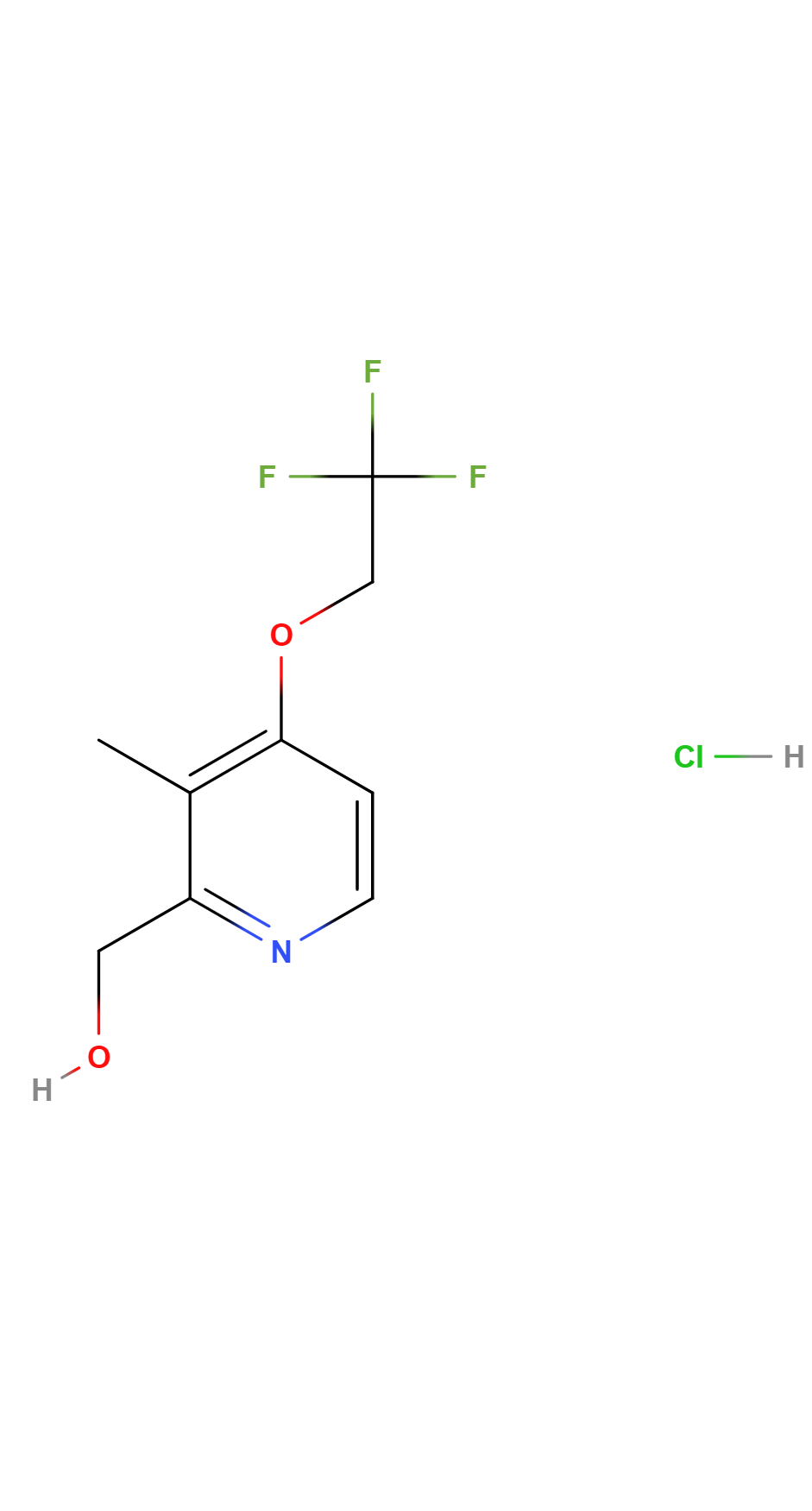 Tutorials Point